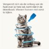 Beaphar fiprotec kat tegen vlooien & teken - Afbeelding 7