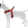 Morso mini hondentuig verstelbaar gerecycled urban lizard rood - Afbeelding 2